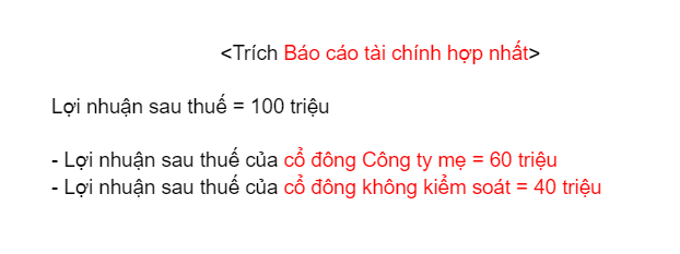 loi-ich-sau-thue-cua-co-dong-khong-kiem-soat (10)