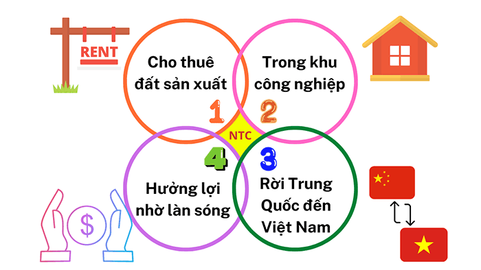 ma-co-phieu-tot-nhat-hien-nay (3)